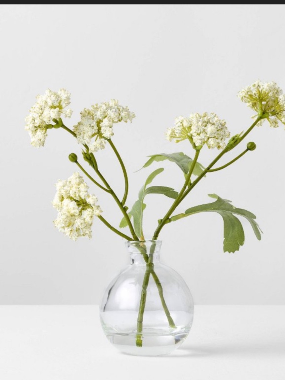 9" XS White Sedum Artificial Plants Arrangement - Hearth & Hand™ with Magnolia